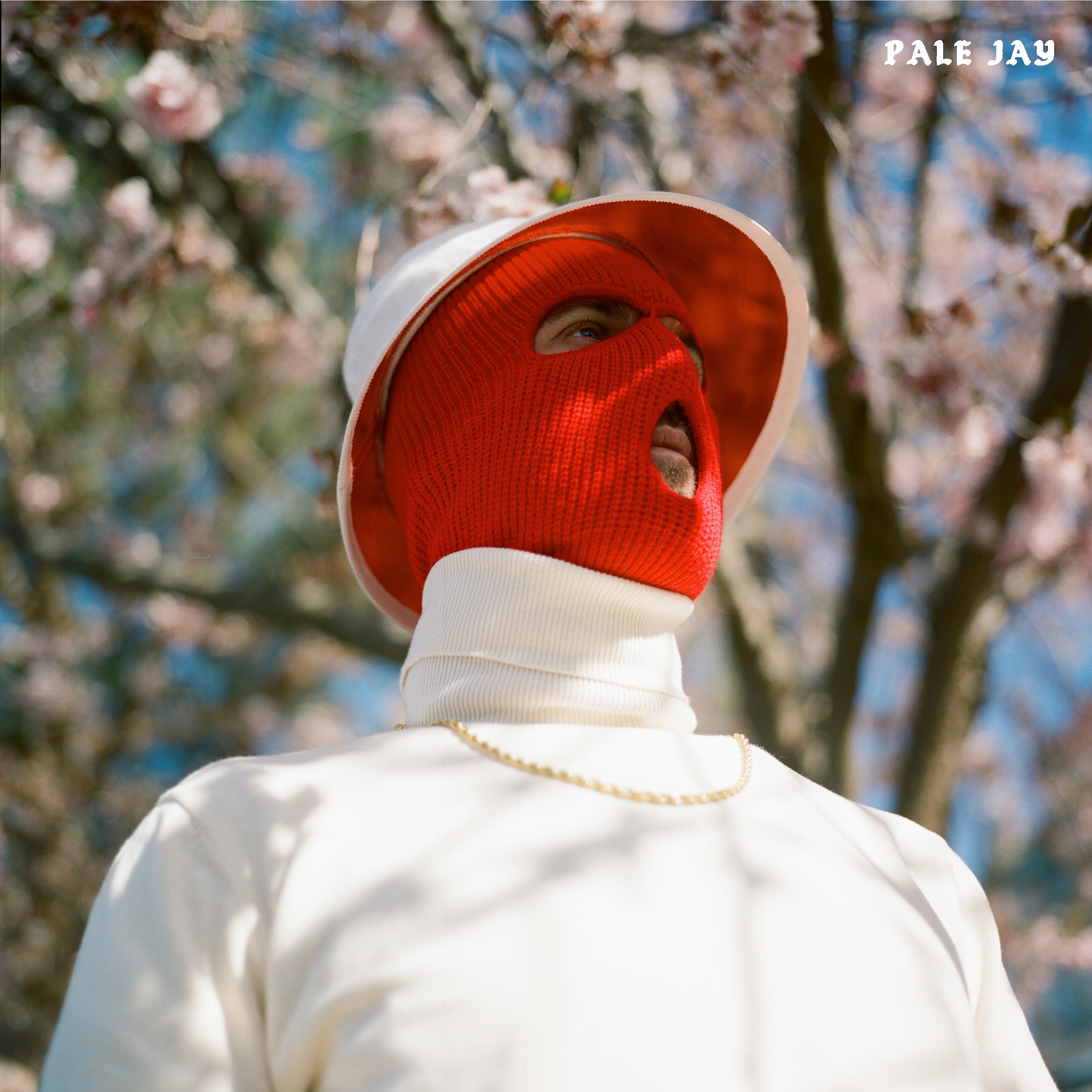Pale Jay 'The Celestial Suite' Vinyl – PLYGRND GmbH
